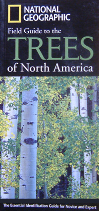 Field guide to the trees of North America